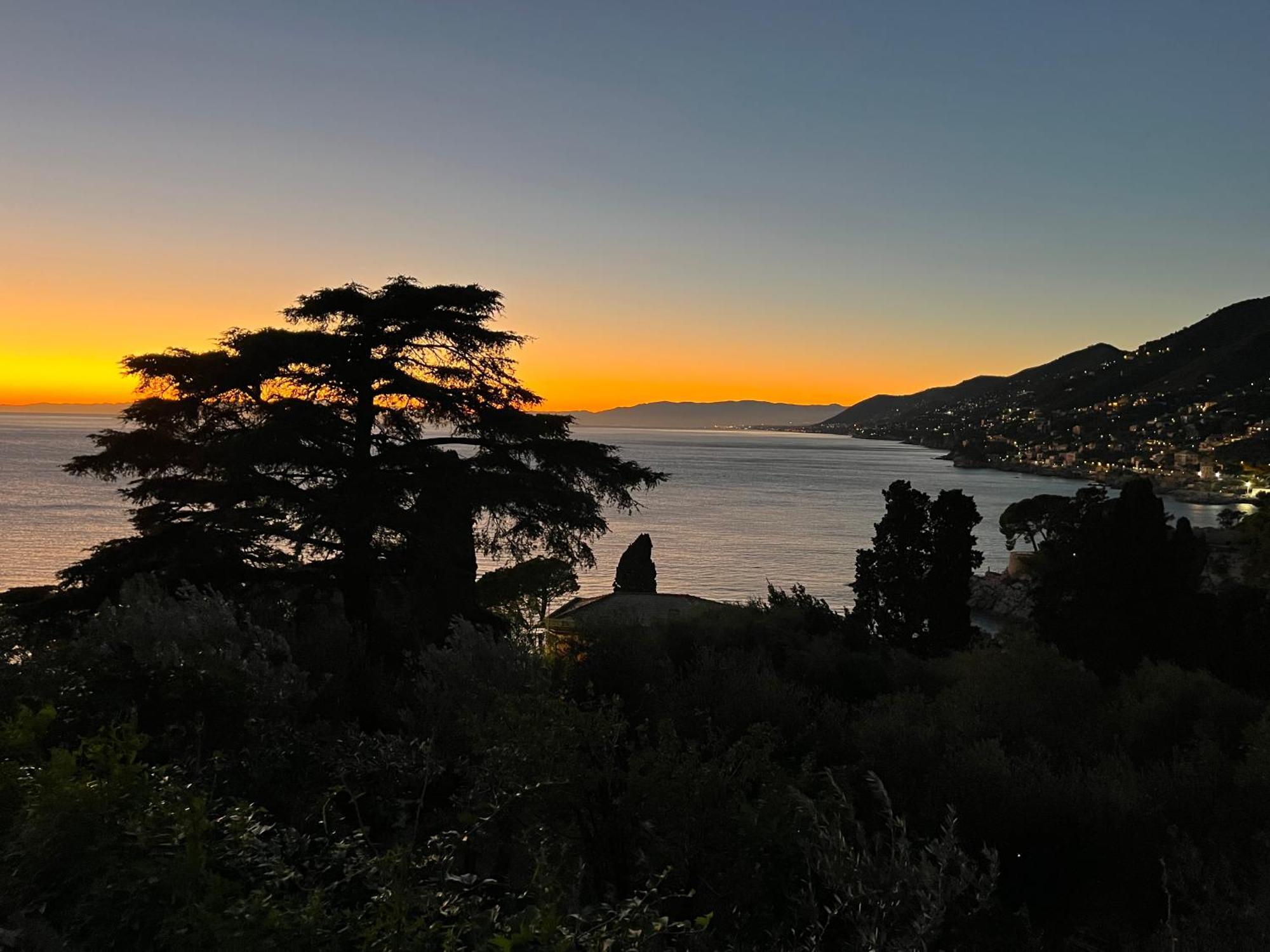 La Conchiglia Bed & Breakfast Camogli Eksteriør billede