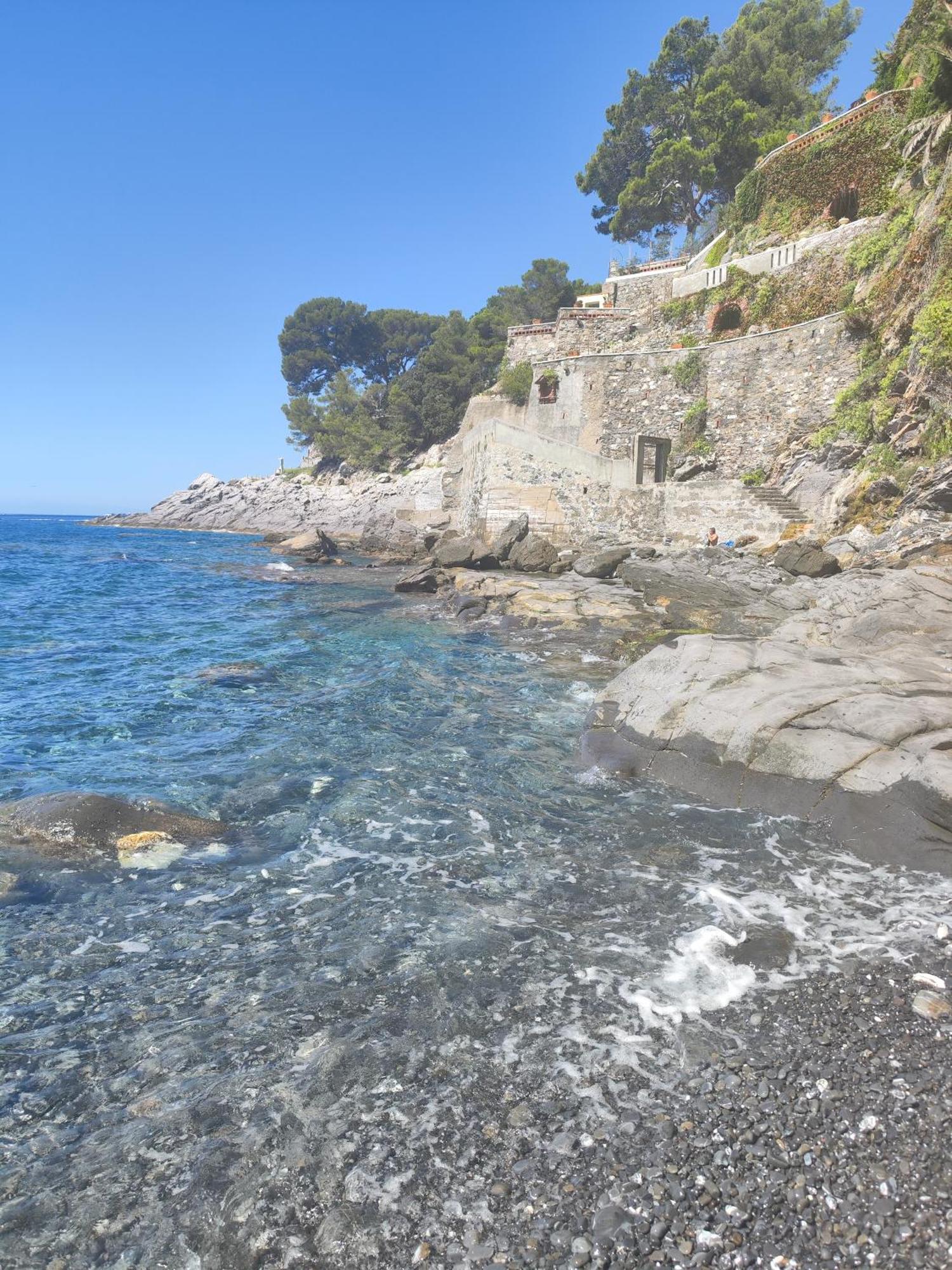 La Conchiglia Bed & Breakfast Camogli Eksteriør billede