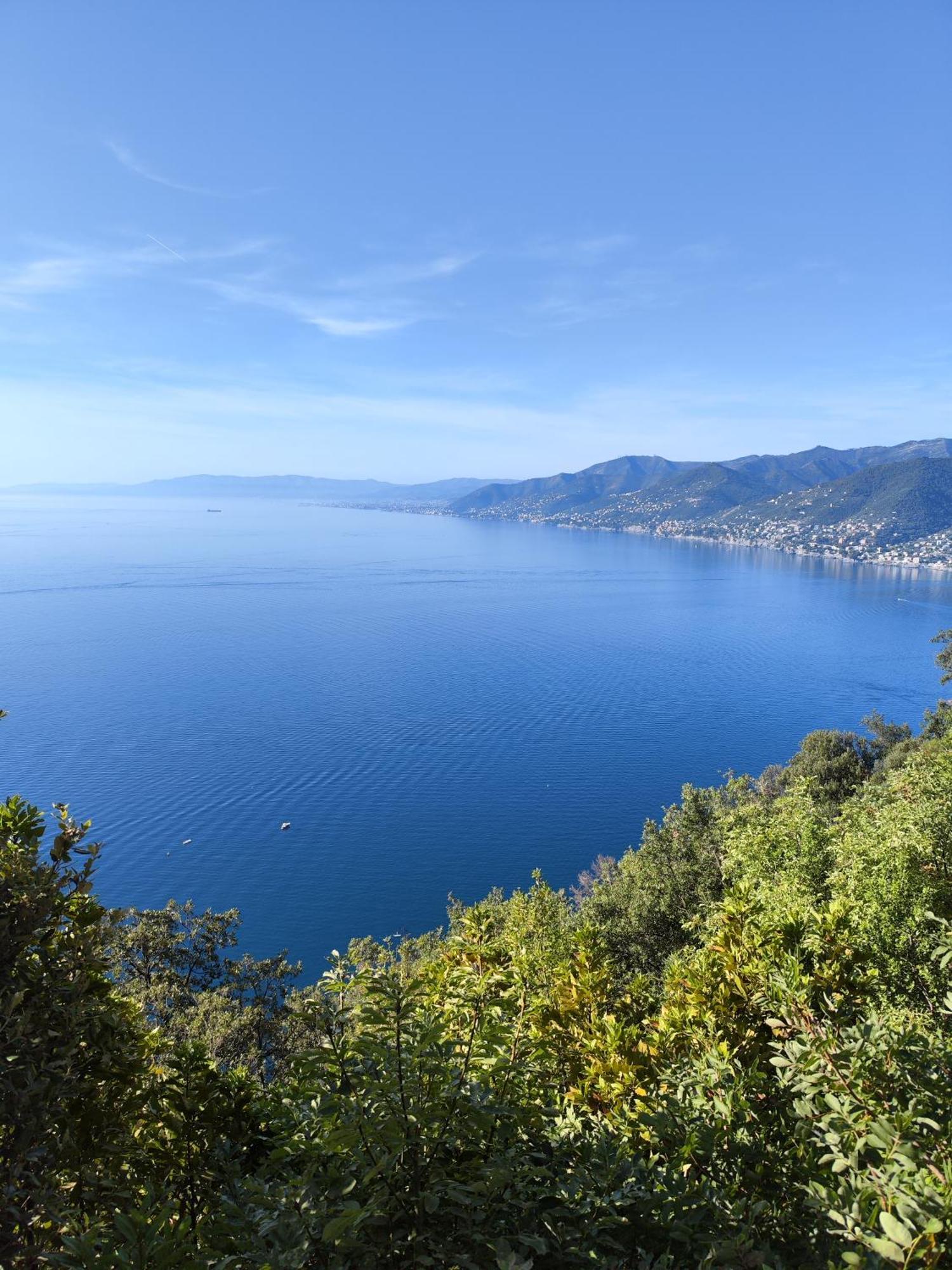 La Conchiglia Bed & Breakfast Camogli Eksteriør billede
