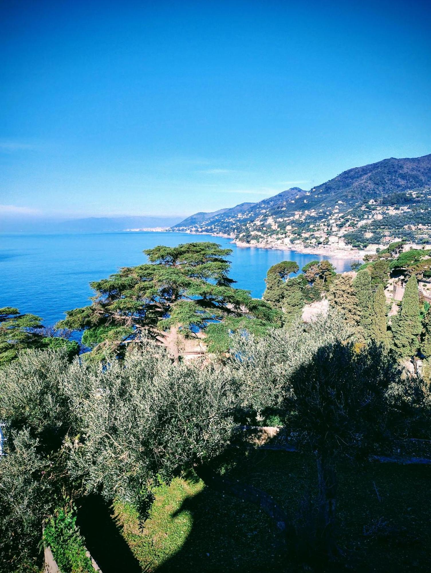 La Conchiglia Bed & Breakfast Camogli Eksteriør billede