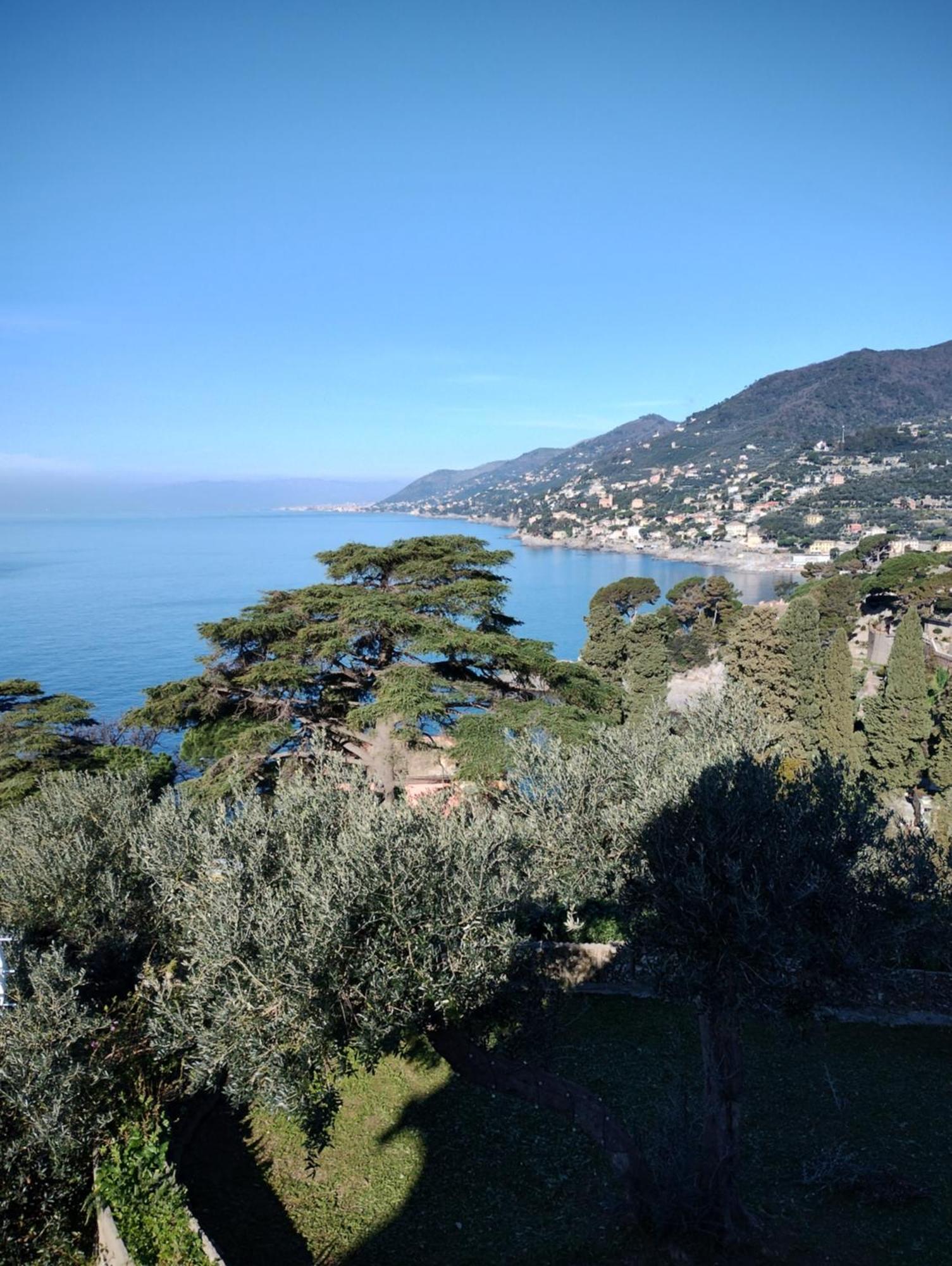 La Conchiglia Bed & Breakfast Camogli Eksteriør billede